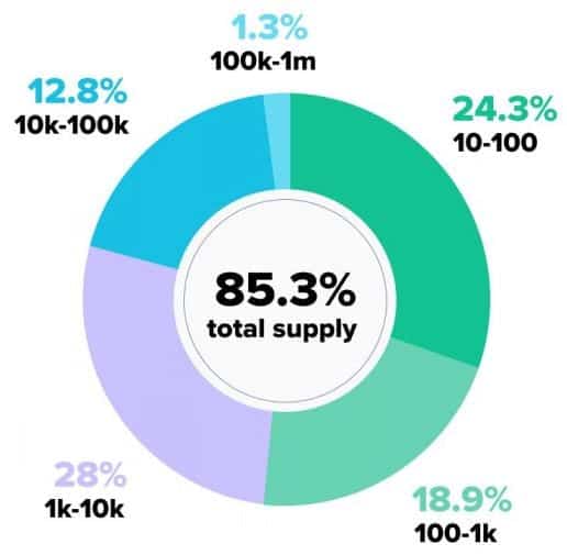 Bitcoin Supply Distribution. Source: Santiment