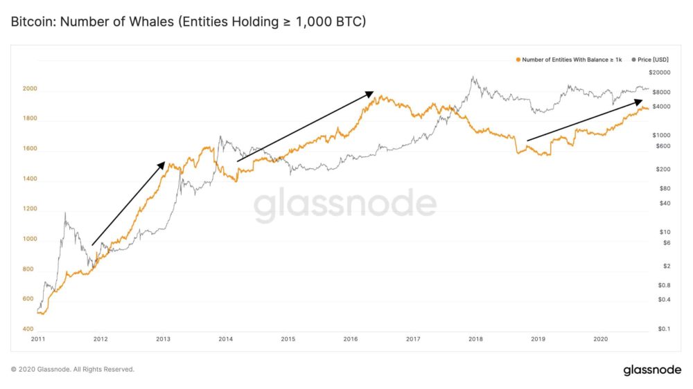 bitcoin whale activity on the rise
