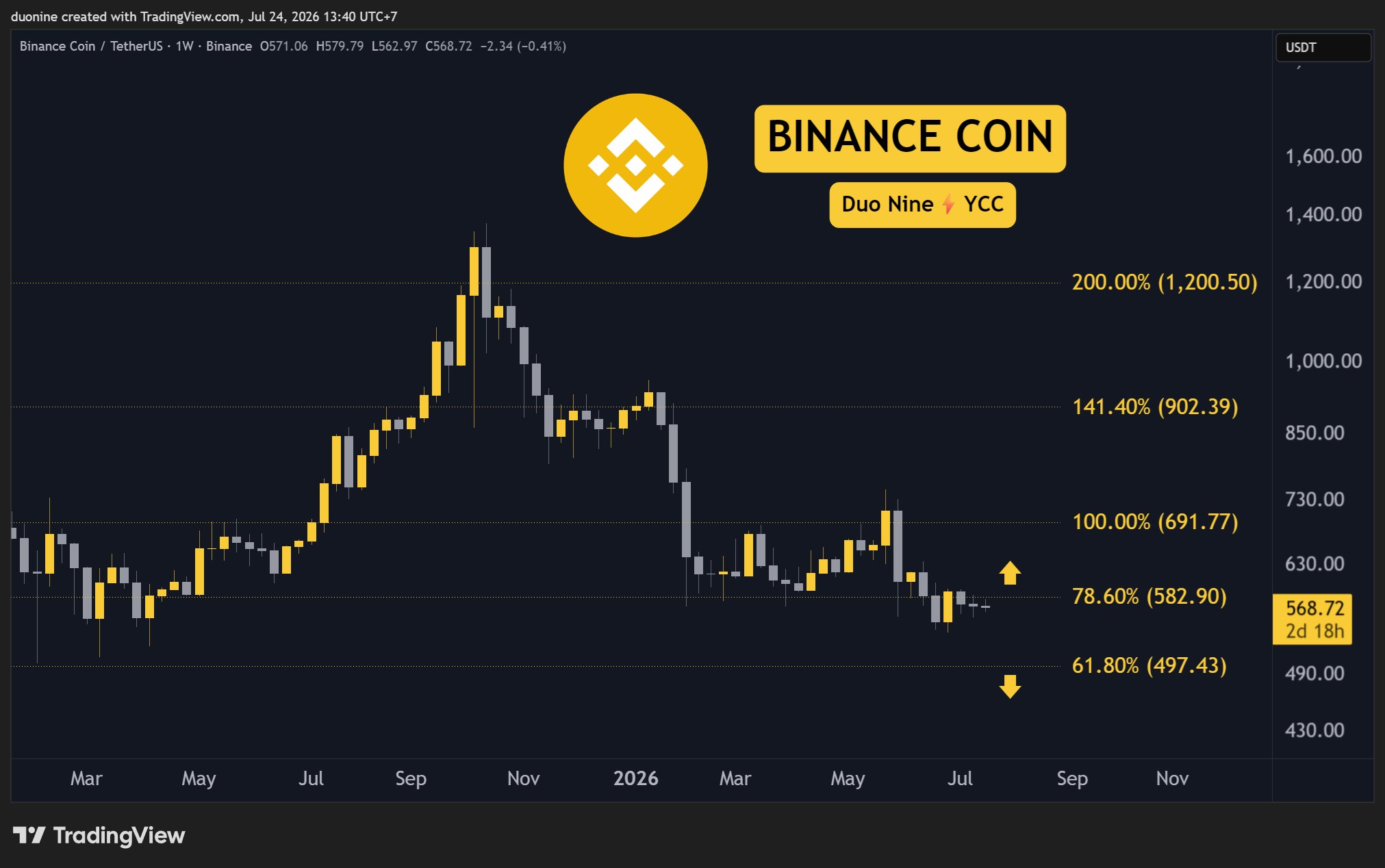 binance_coin_price_chart_2407261