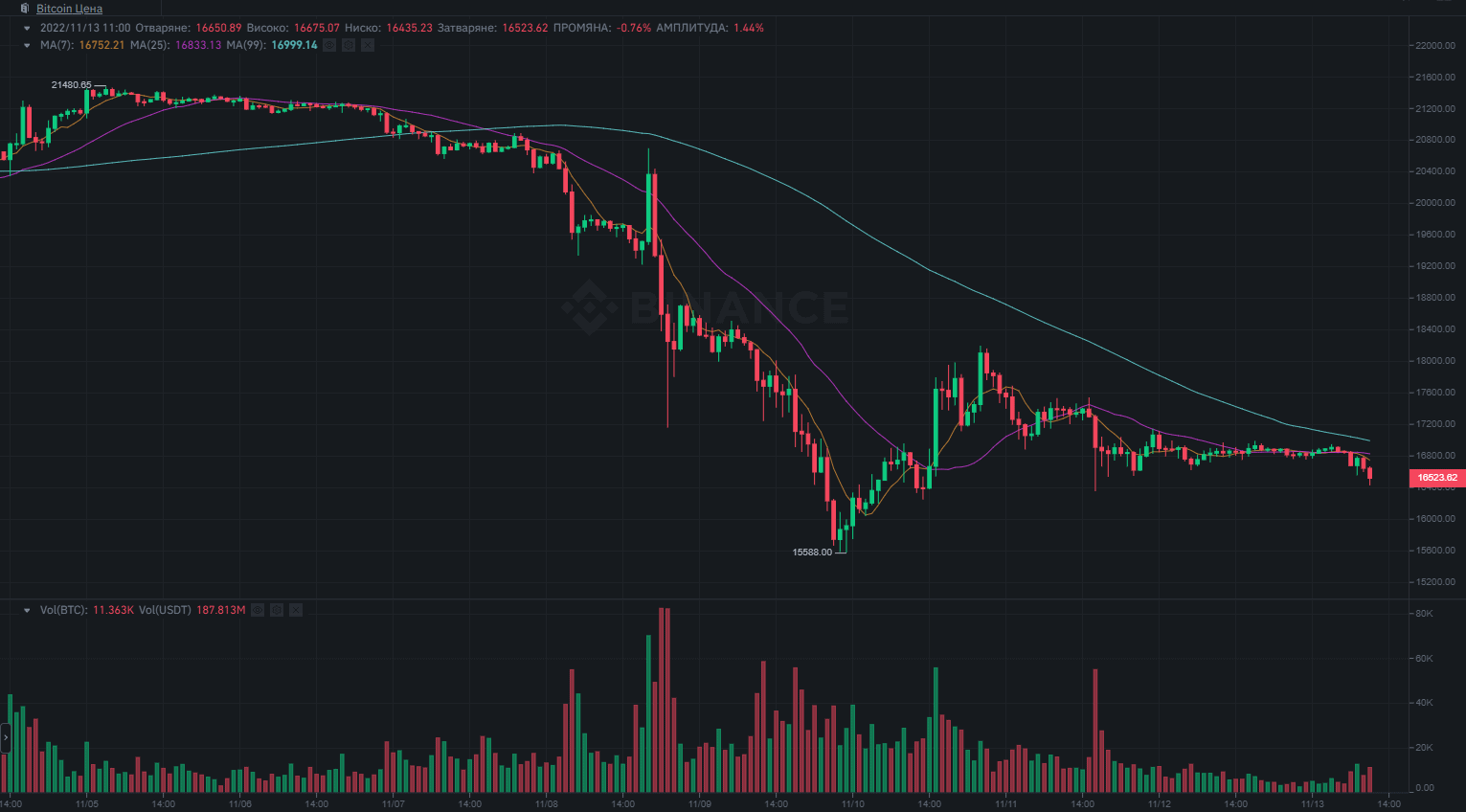 btc_price_chart_131101