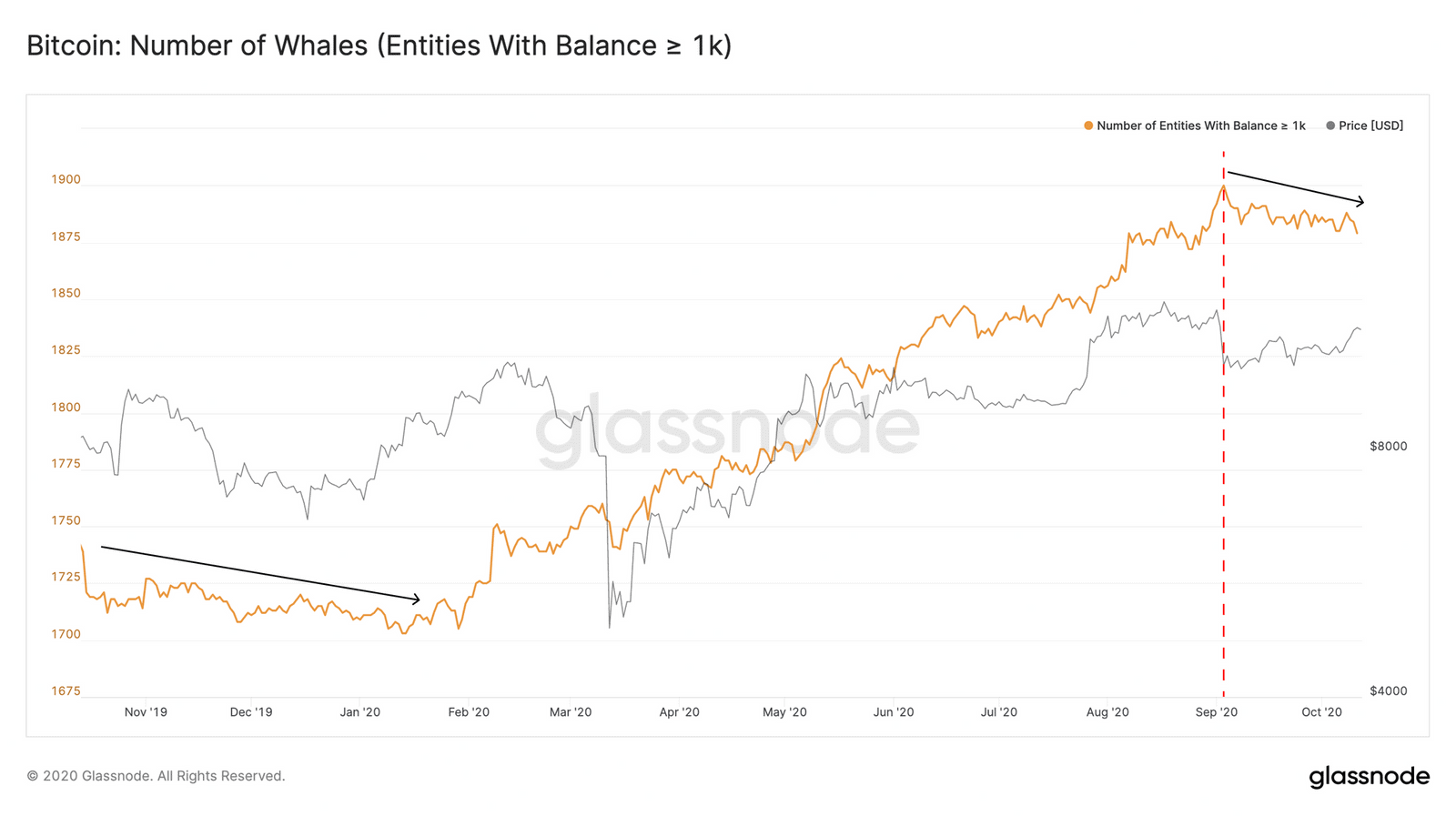 Bitcoin Whales Accumulation. Source: Glassnode