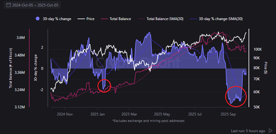Bitcoin (BTC) whale activity