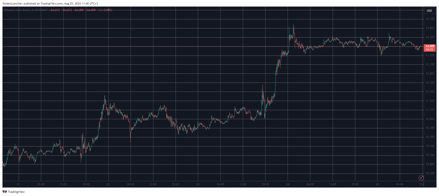 Bitcoin/Price/Chart 25.08.2024. Source: TradingView