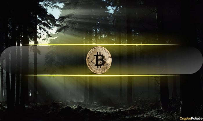 Bitcoin_Mystery