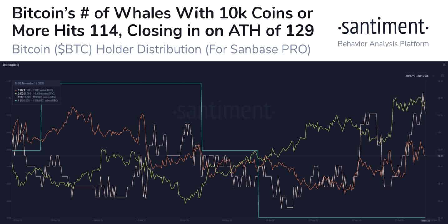 Large BTC Addresses. Source: Santiment