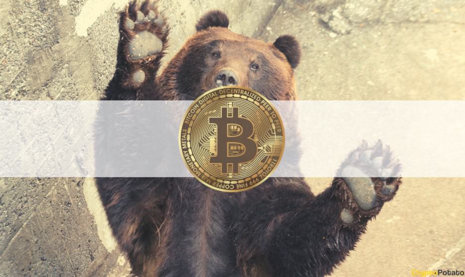 bearbtc_cover