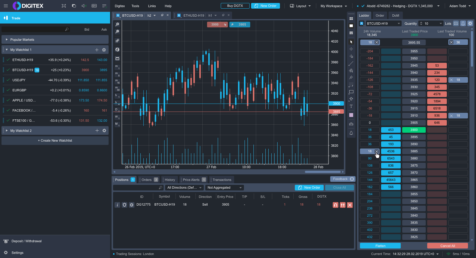 Digitex-Interface