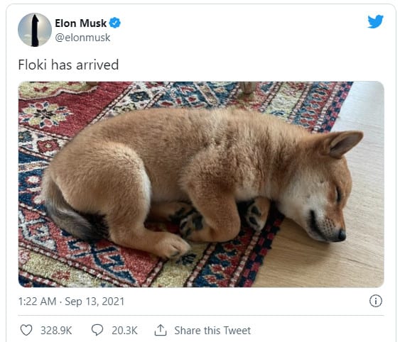 floki-elonmusk-dog