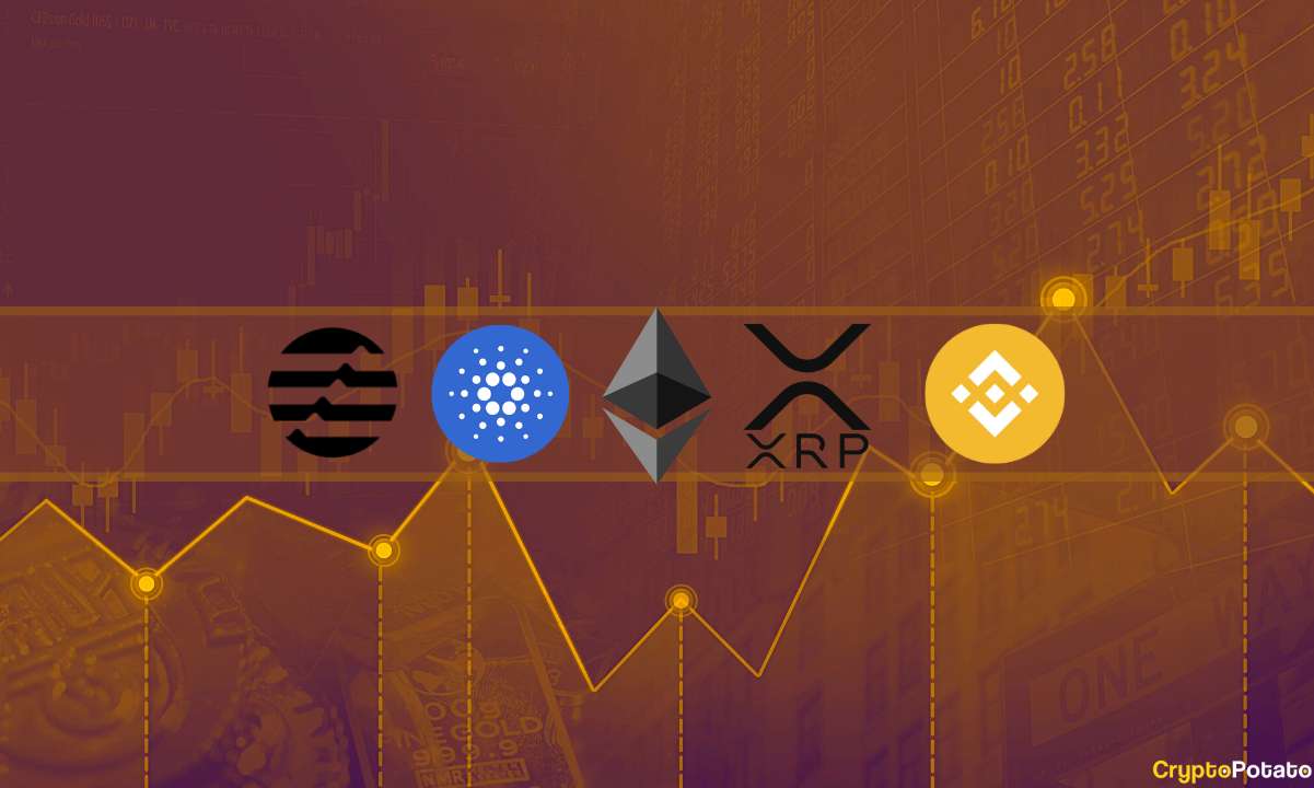 altcoins_cover__270123