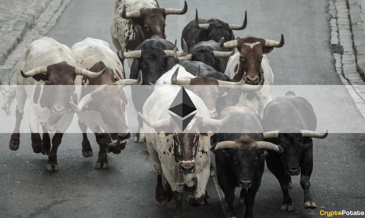 bulls_eth_cover