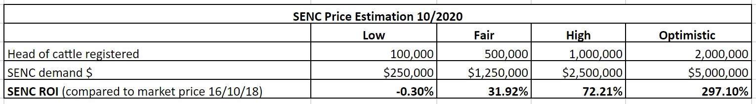 SENC Financial Analysis