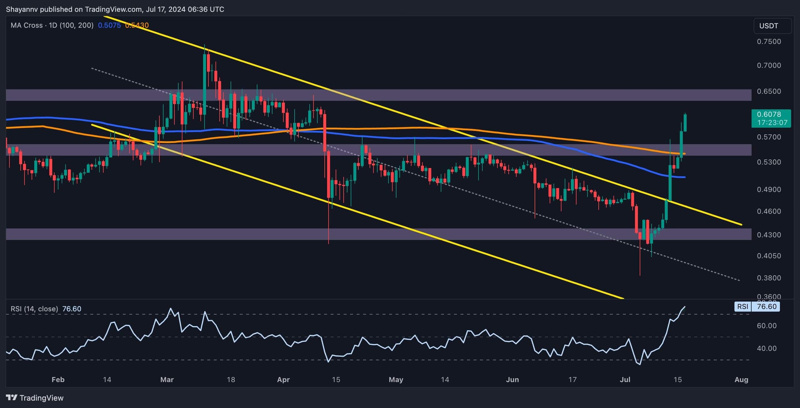 XRP D (3)