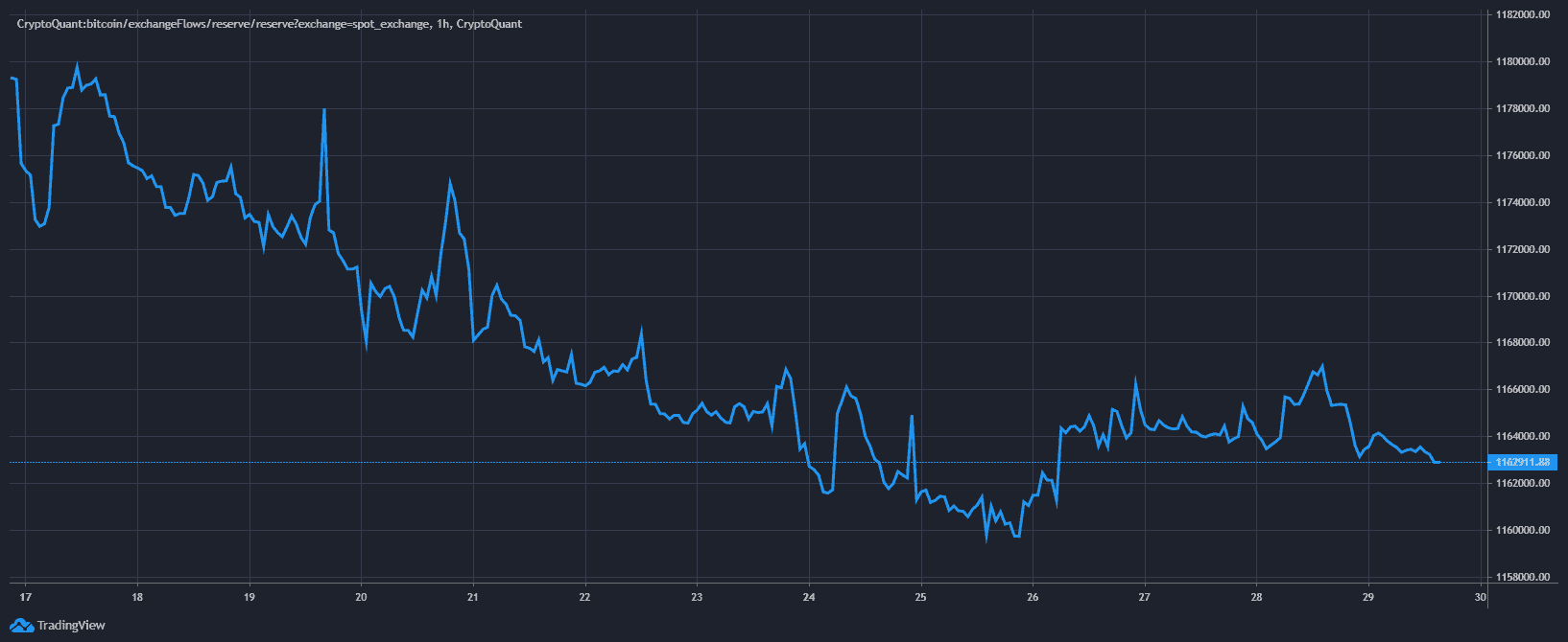 btc-on-spot