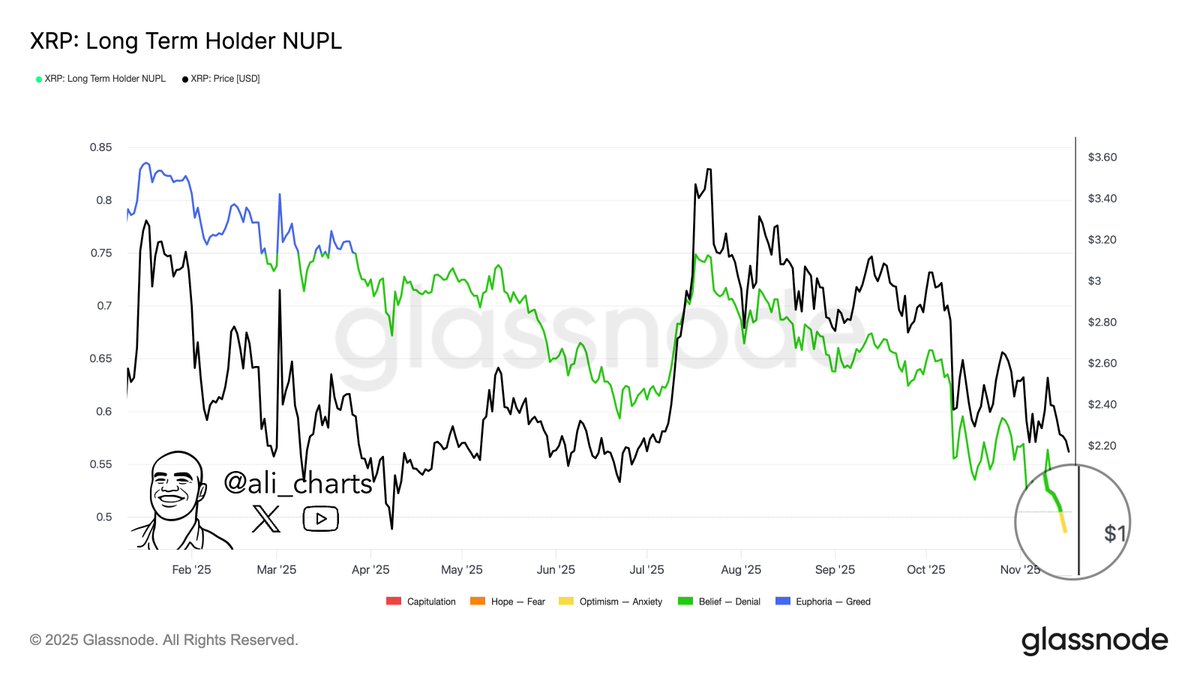 XRP Long-term holders NUPL