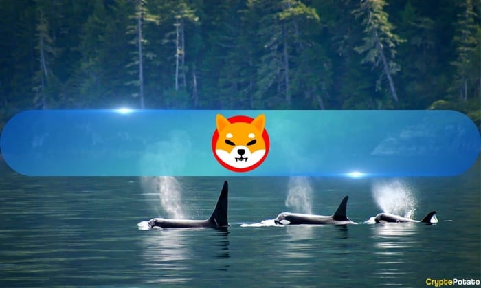 ShibaInu_Whale