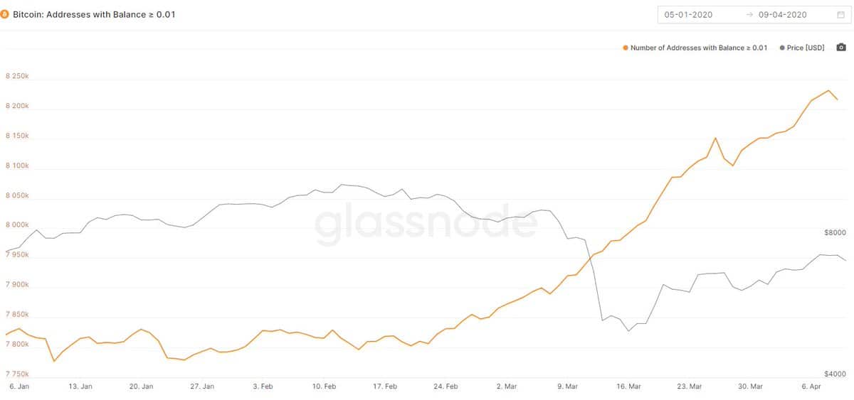 Bitcoin Addresses. Source: insights.glassnode.com