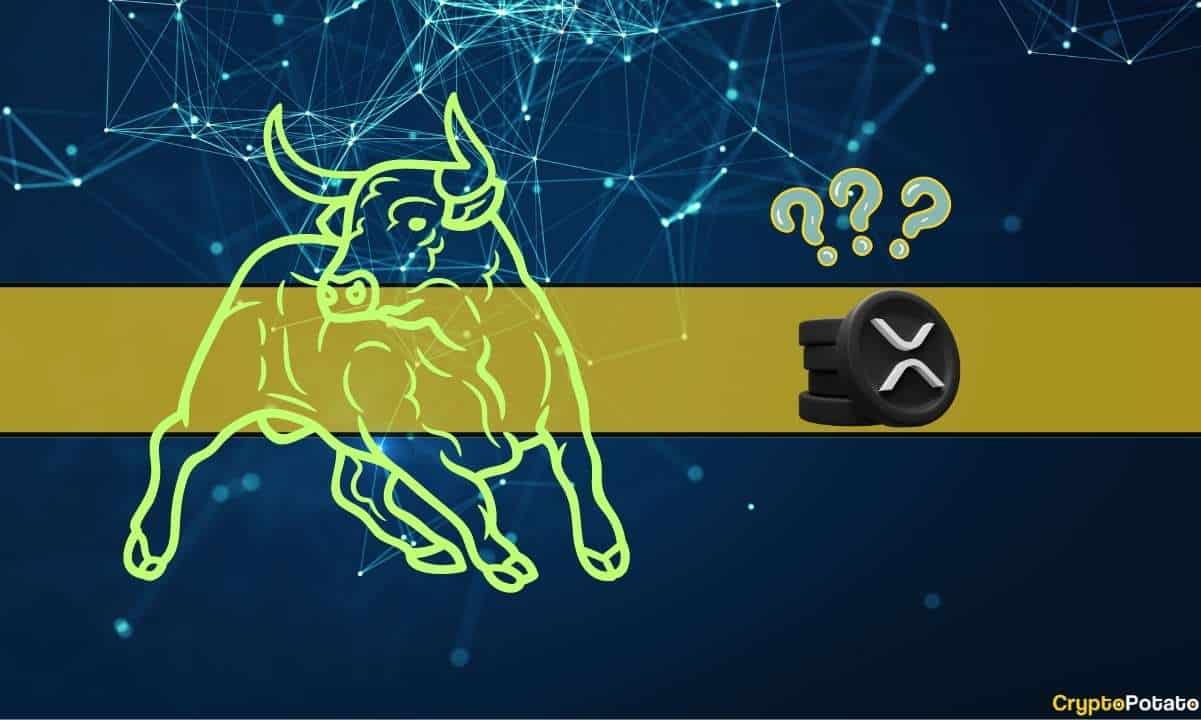 xrp_bull_market_cover