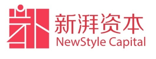Newstyle capital logo