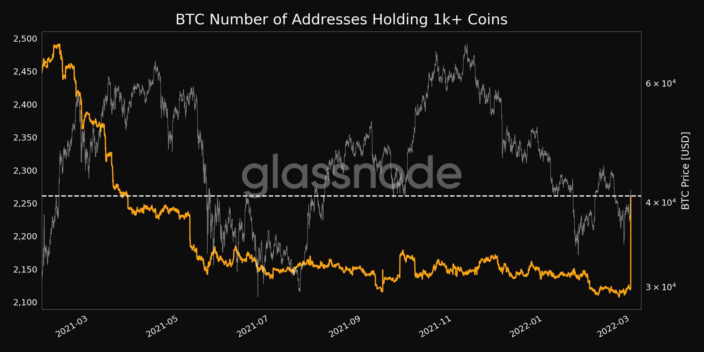 Bitcoin Wallets With 1,000+ Coins. Source: Glassnode