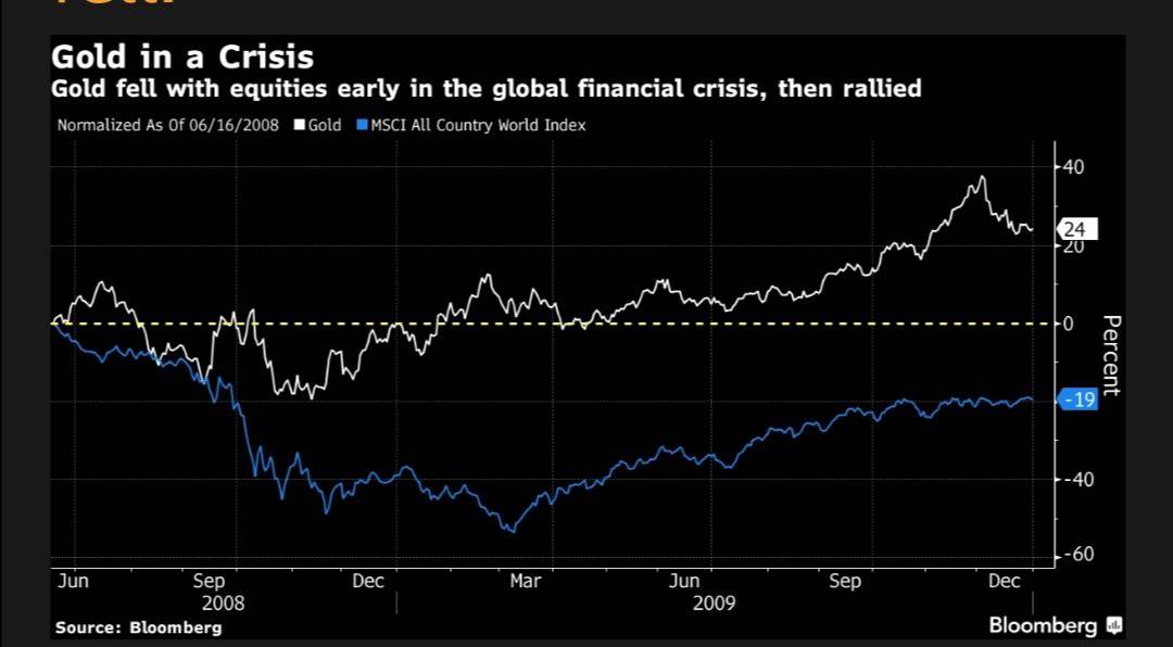 2008 Gold/Indexes Price Performance. Source: Ed van der Walt.