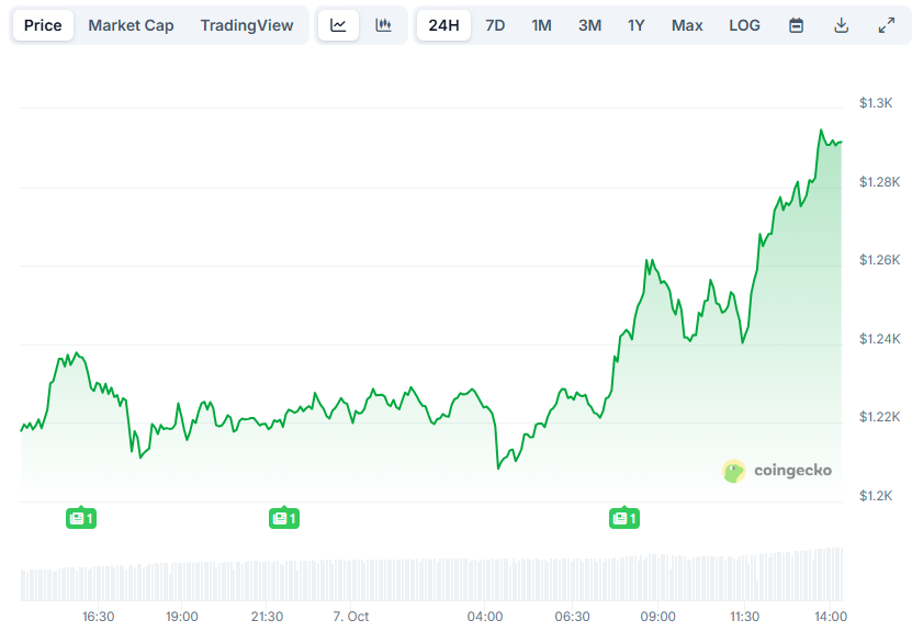 BNB Price