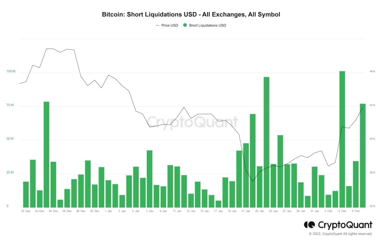 img1_chart_shorts