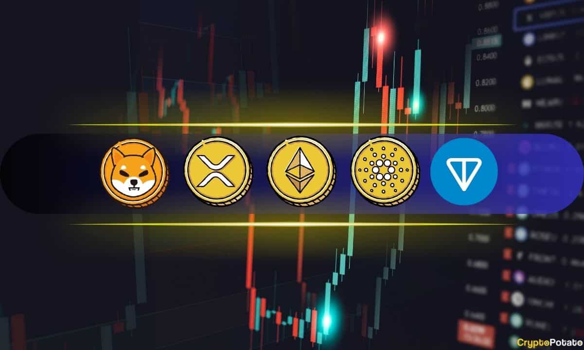 cryptopost_friday