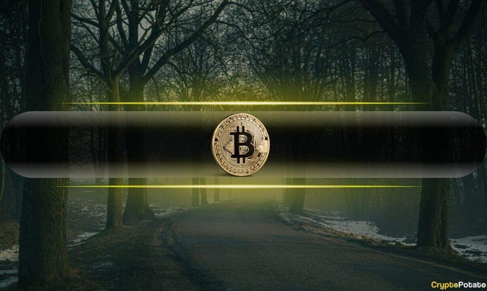 Bitcoin_Darkness