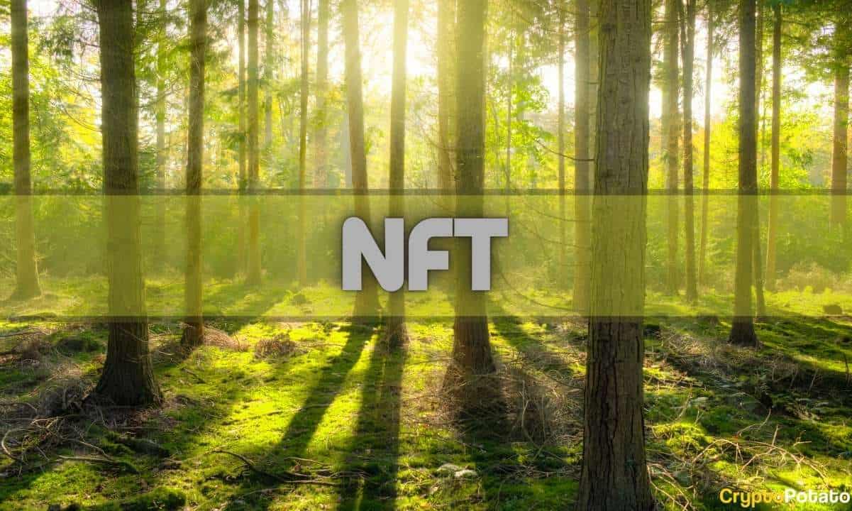 nft_cover
