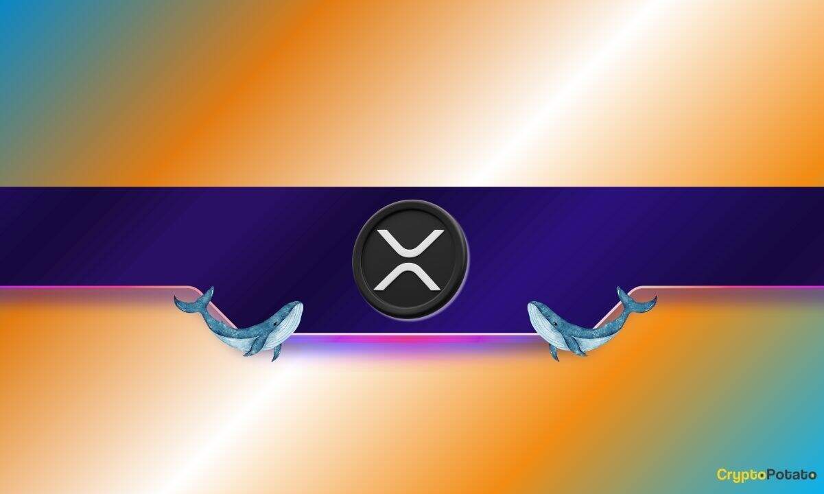 xrp_whales_cover
