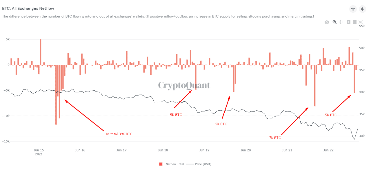 Bitcoin All Exchanges Netflow. Source: CryptoQuant