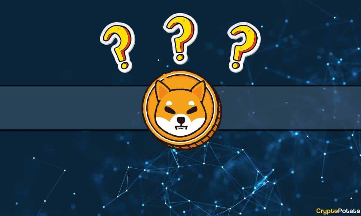shiba_inu_cover_question