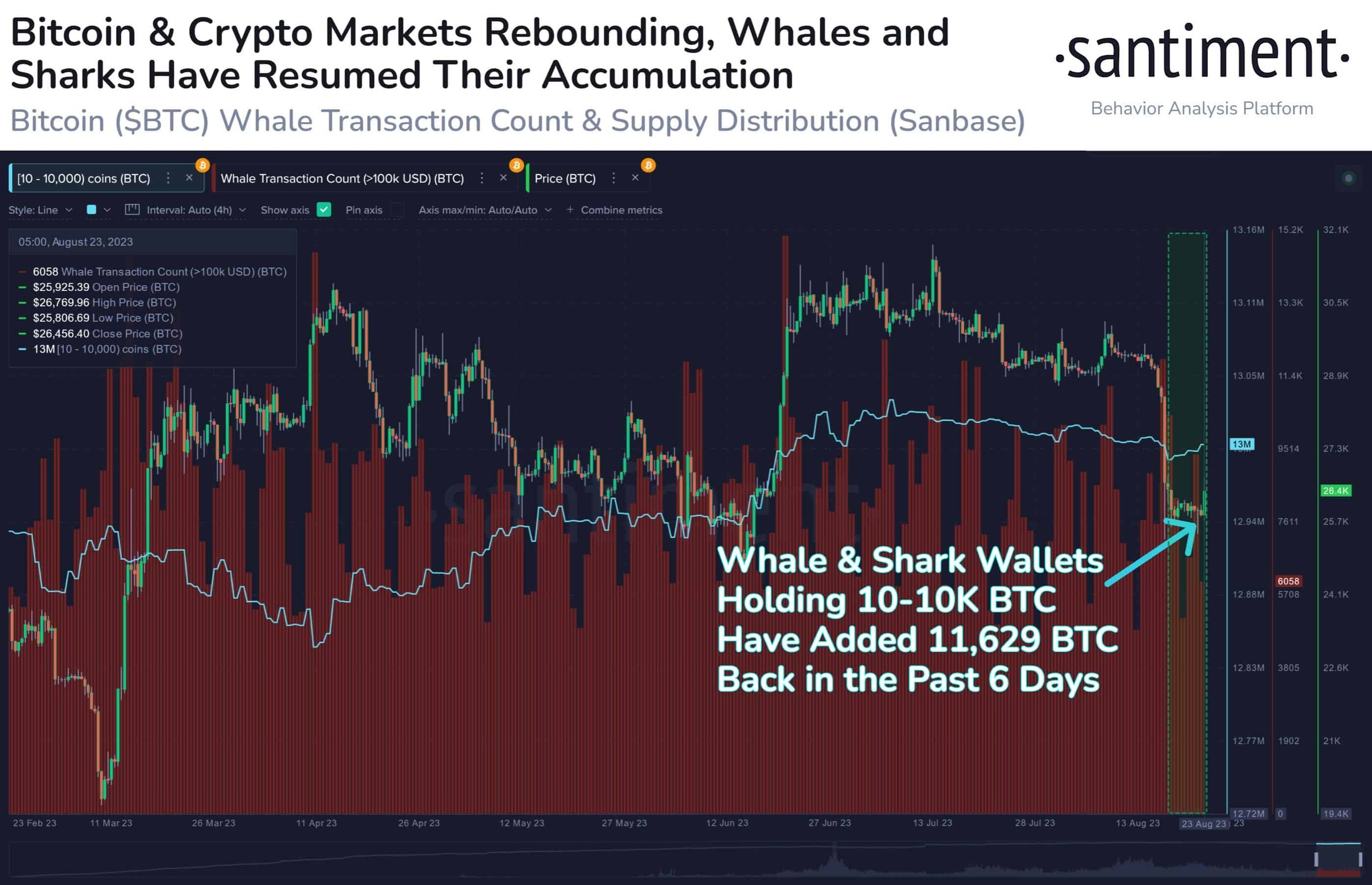 BTC Sharks and Whales