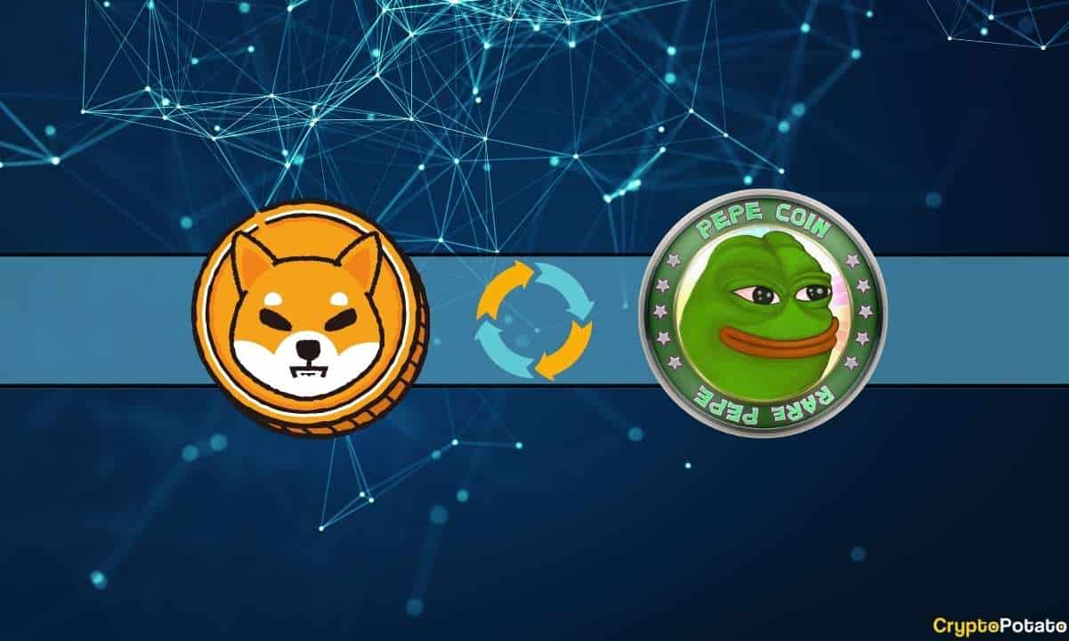 shib_pepe_cycle_cover