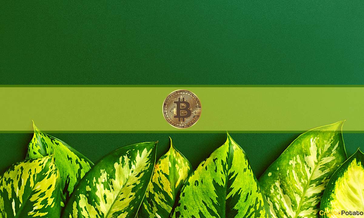 bitcoin_green_cover (1)