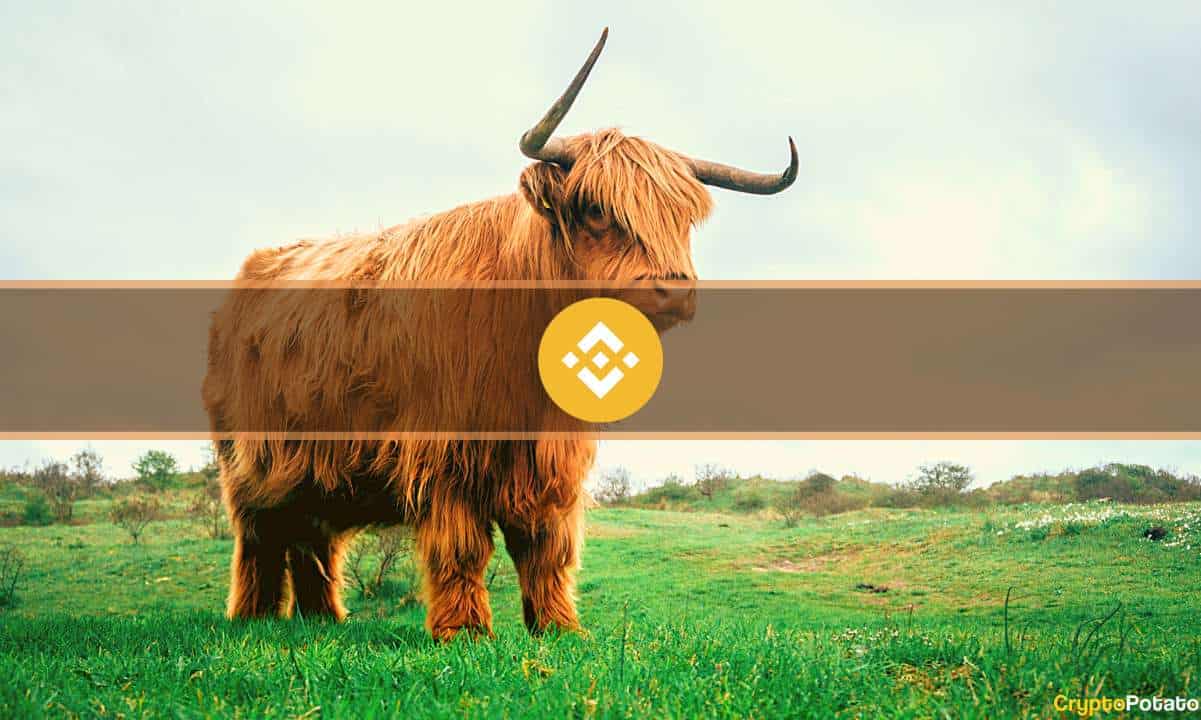 bnb_bull_cover