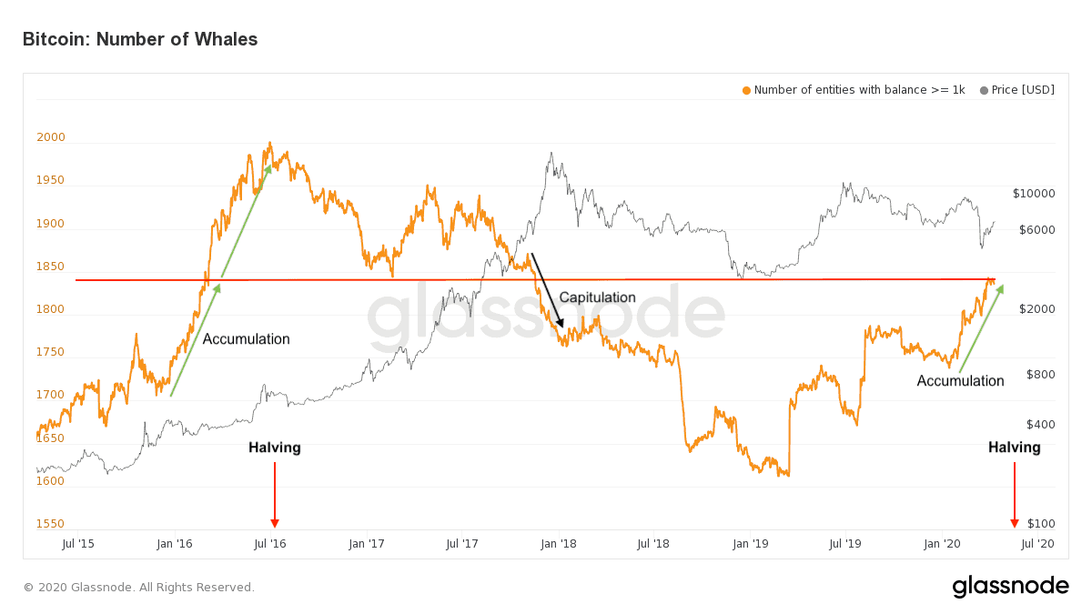 Bitcoin Whales / Bitcoin Price. Source: insights.glassnode.com