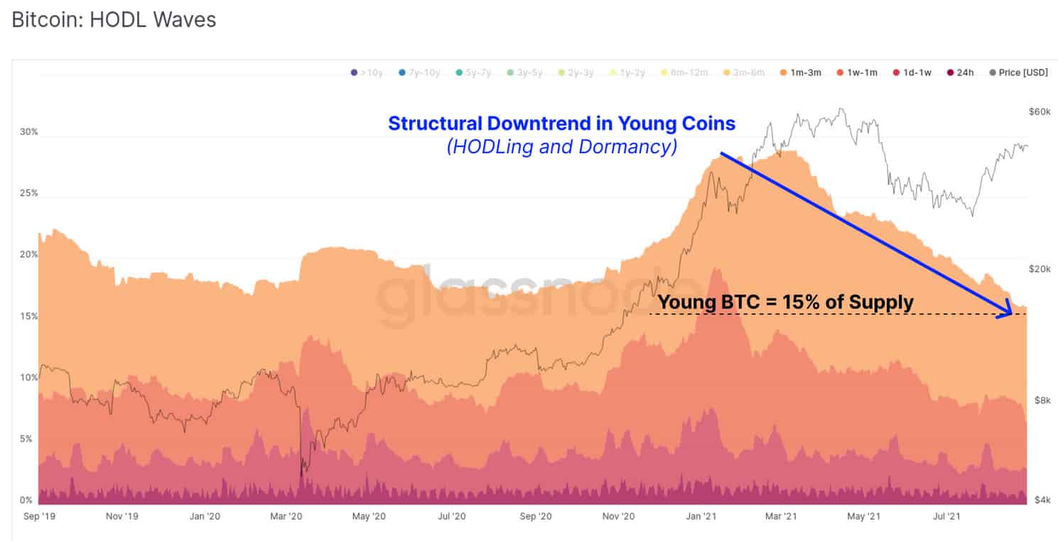 Bitcoin hodl waves