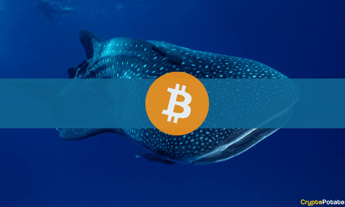 Bitcoin_Whale
