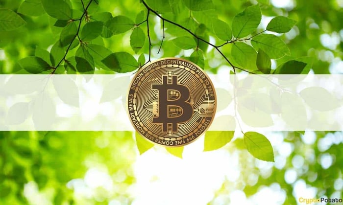 bitcoing_green_cover