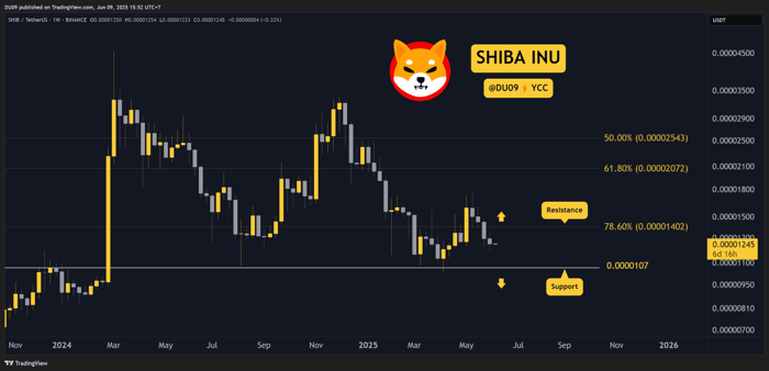 SHIBUSDT_2025-06-09_15-52-35