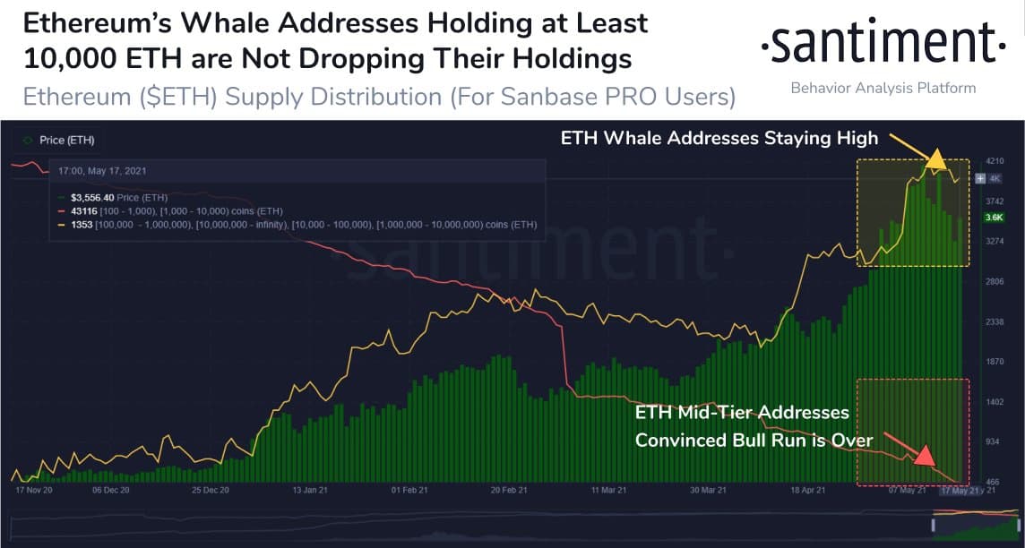 Ethereum Price vs Ethereum Whales Behavior. Source: Santiment
