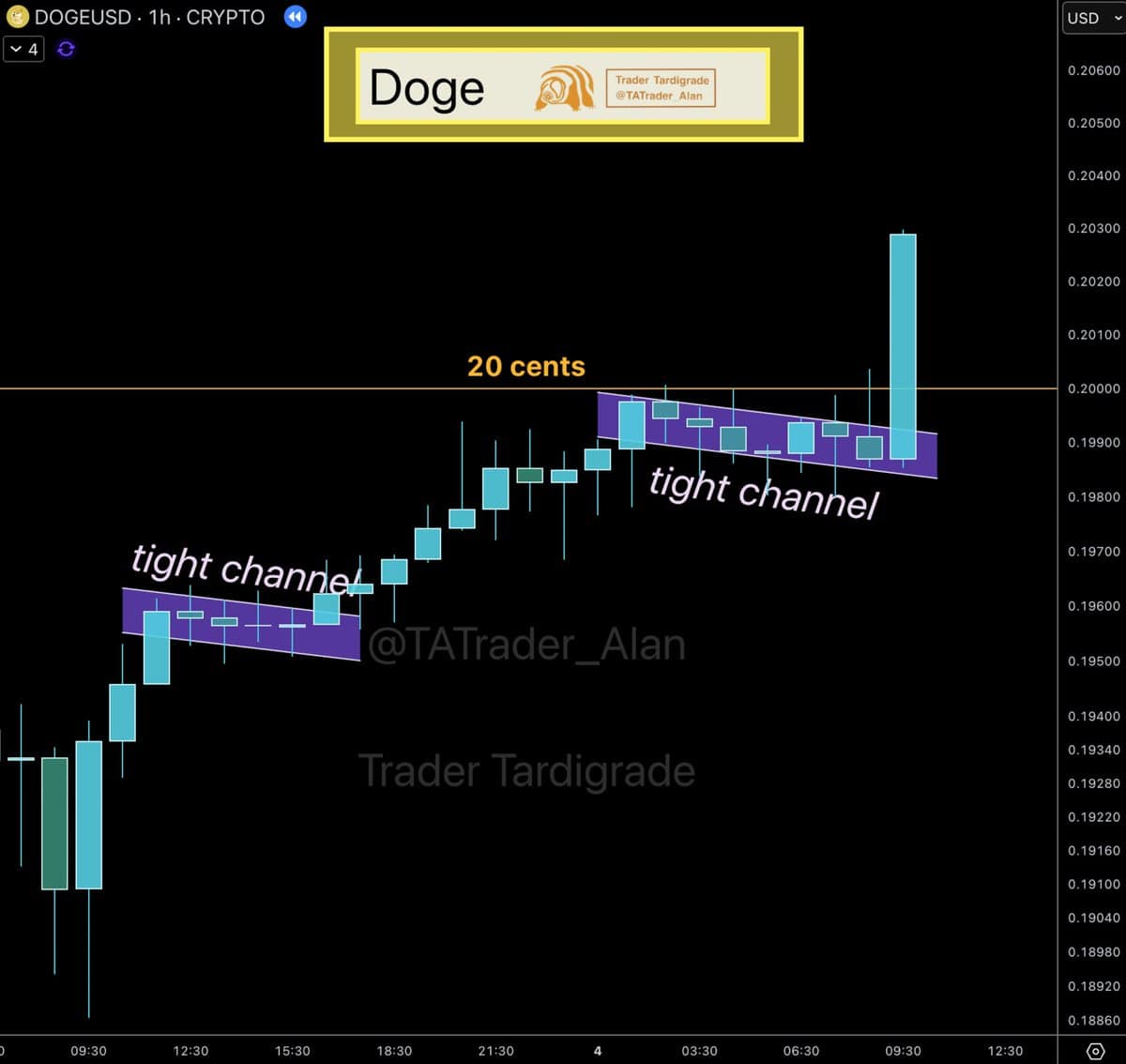 DOGE Price Chart