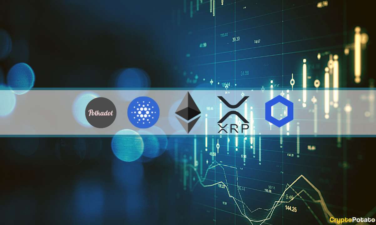 crypto_price_charts_2402231