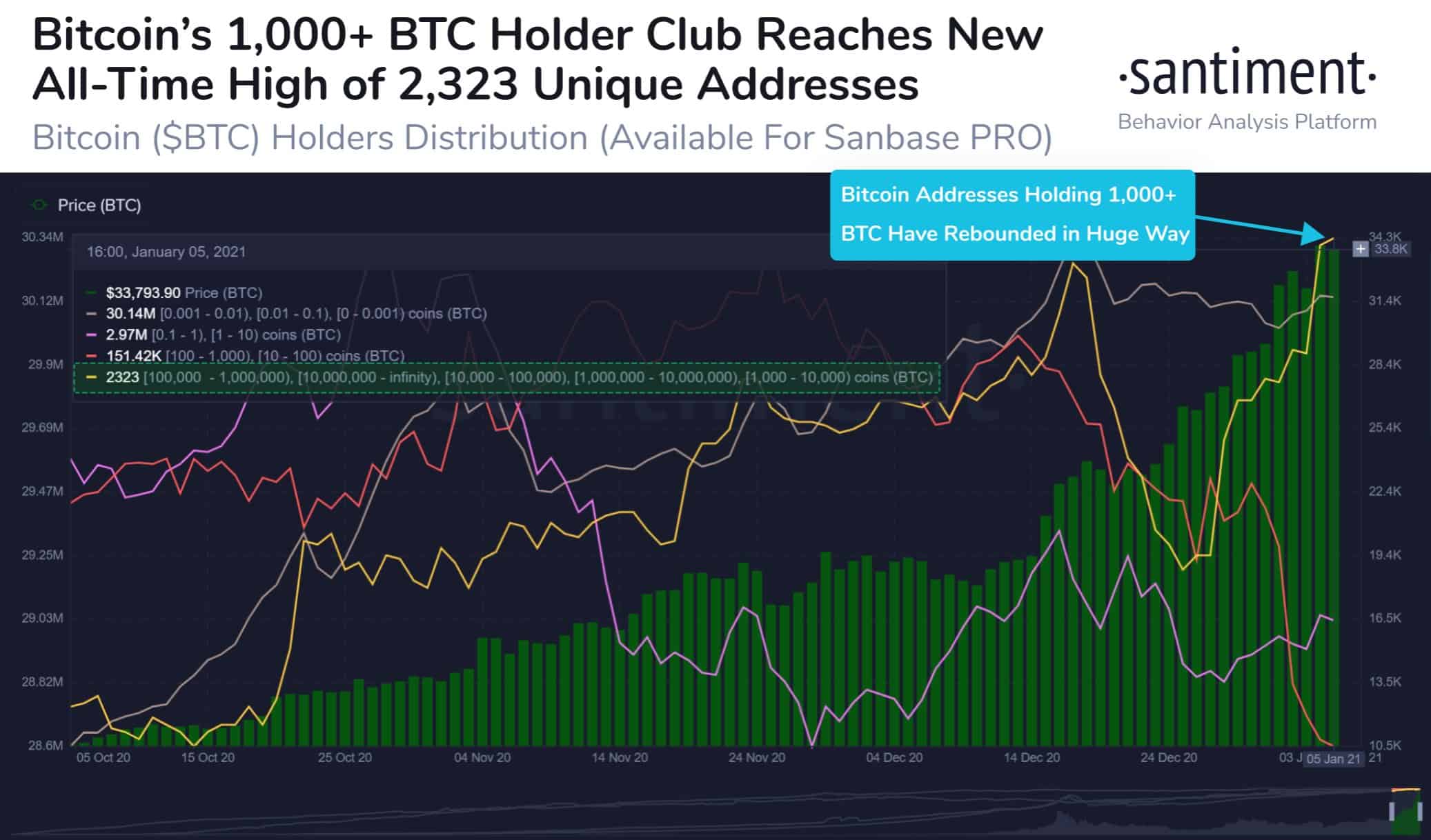 Bitcoin Whales. Source: Santiment