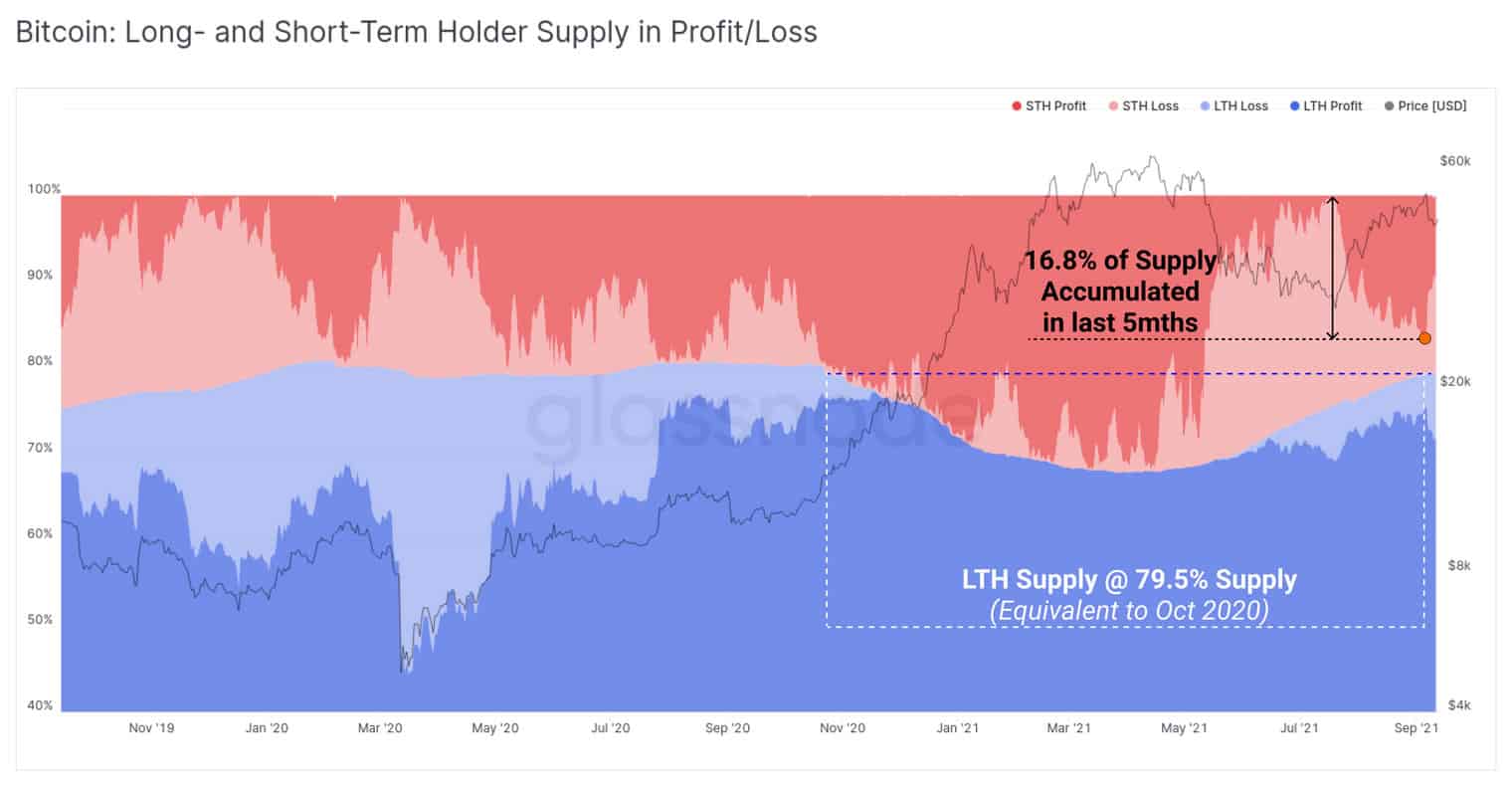 Bitcoin hodling