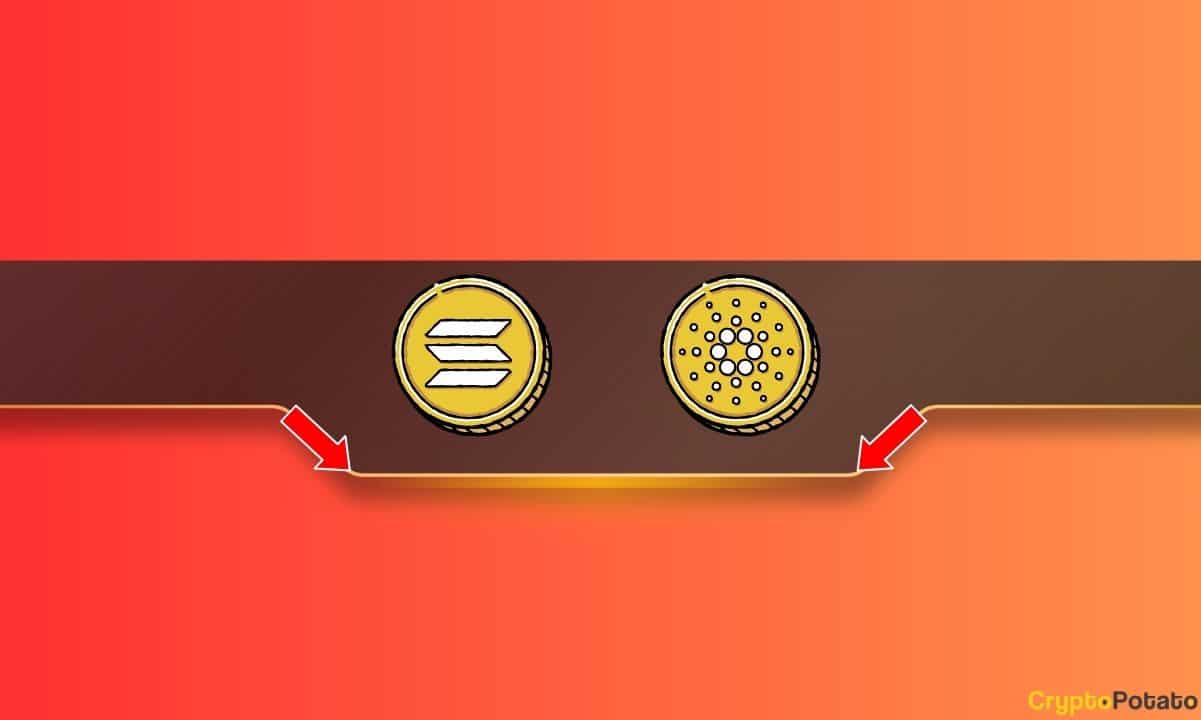 solana_cardano_cb