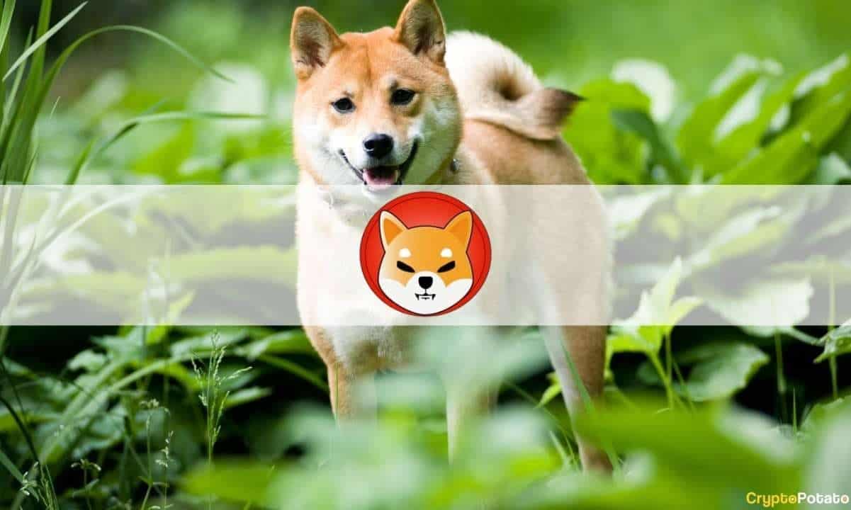 shib