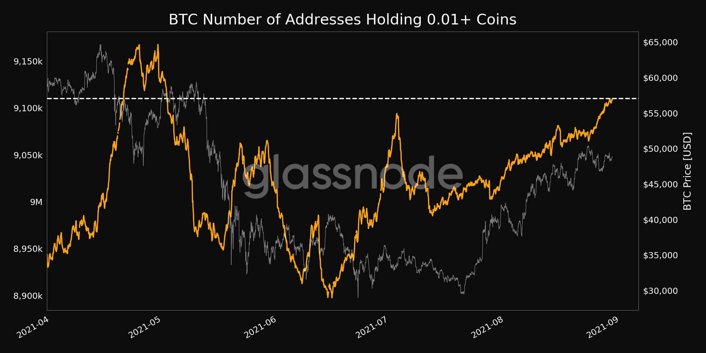Bitcoin Wallets 0.01+ BTC. Source: Glassnode