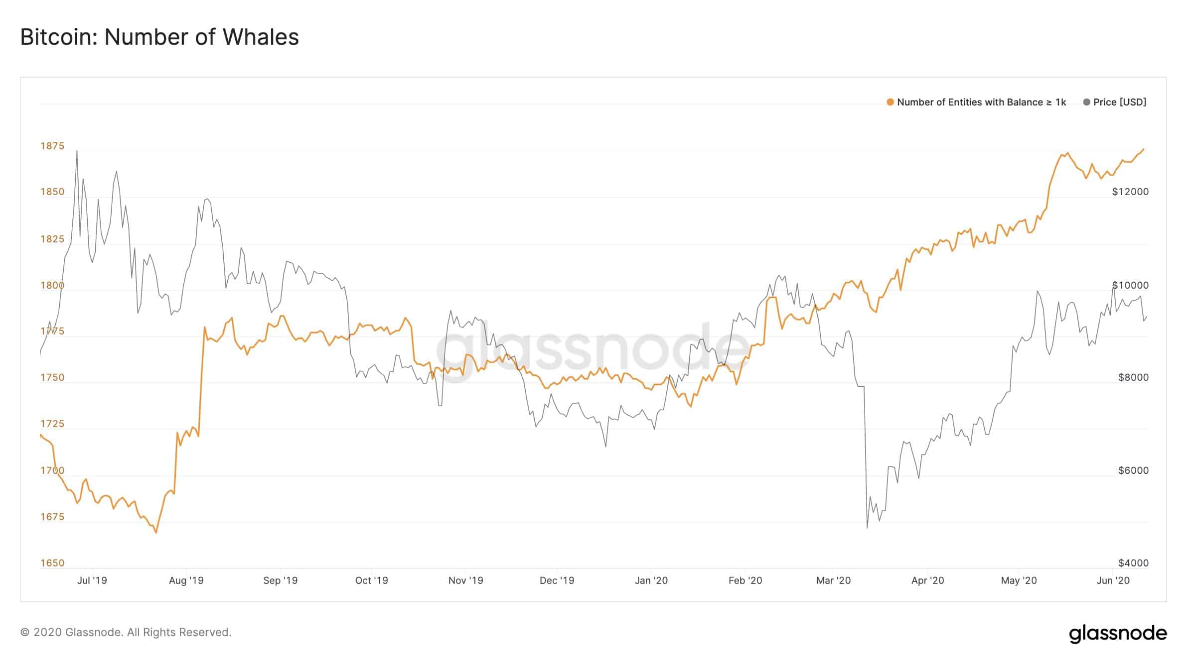 Bitcoin Whales (Addresses With Over 1,000 BTC). Source: Glassnode